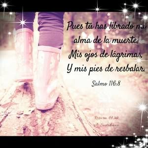 Meet your Posher, Camelia